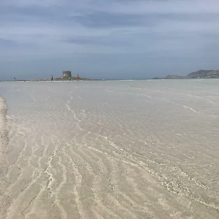 Appartamento Marina View *